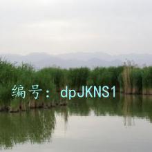 Ŀ