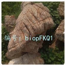 ѡ